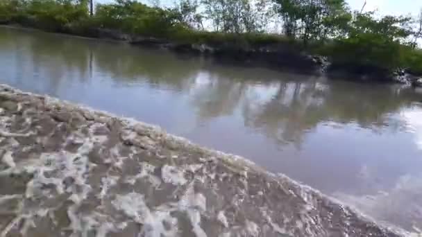 Kreuzfahrt Durch Einen Kleinen Schlammfluss Suriname — Stockvideo
