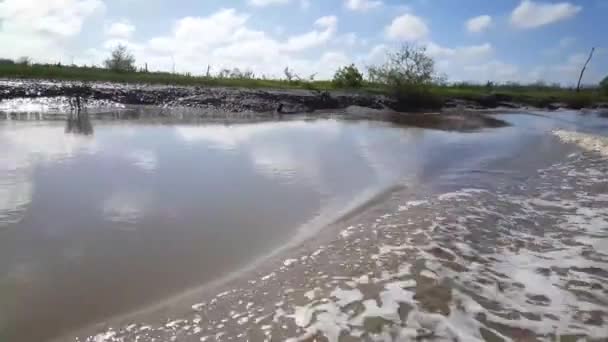 Surinam Küçük Bir Çamur Nehrinde Dolaşırken — Stok video