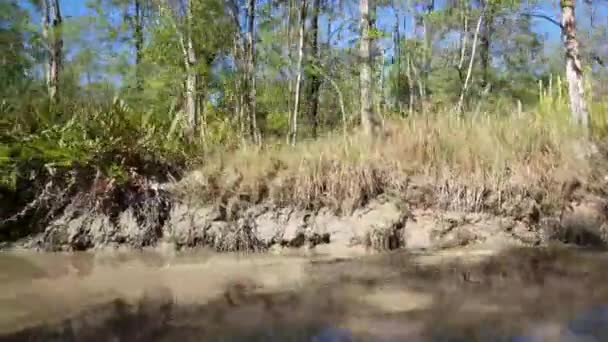 Cestování Přes Malou Bahnitou Řeku Surinamu — Stock video