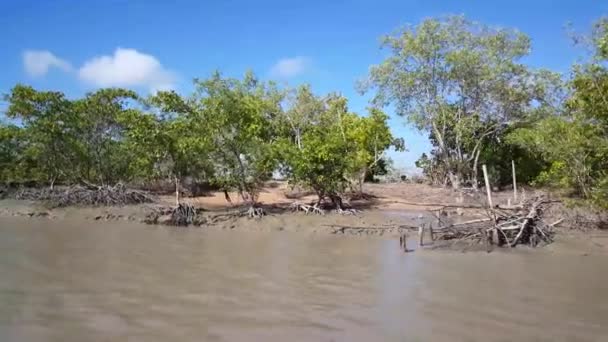 Crociera Attraverso Piccolo Fiume Fango Nel Suriname — Video Stock