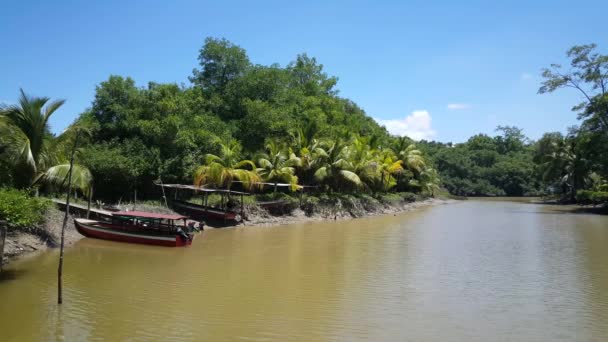 Boats Bakkie Village Suriname Commewijn River — Stock Video