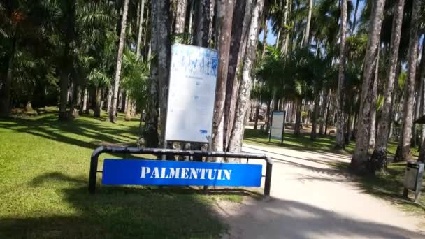 Jardins Palmeiras Entrada Palmentuin Paramaribo Suriname — Vídeo de Stock