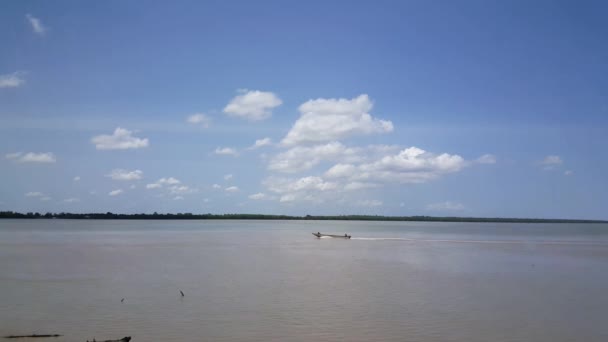 Barco Pequeño Río Surinam Nieuw Amsterdam Surinam — Vídeos de Stock