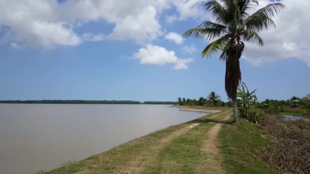Dyke Suriname River Nieuw Amsterdam Suriname — Video
