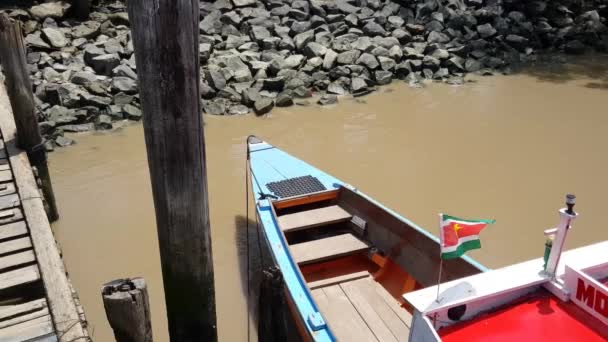 ニューアムステルダムのスリナム川でのロングテールボート スリナム — ストック動画