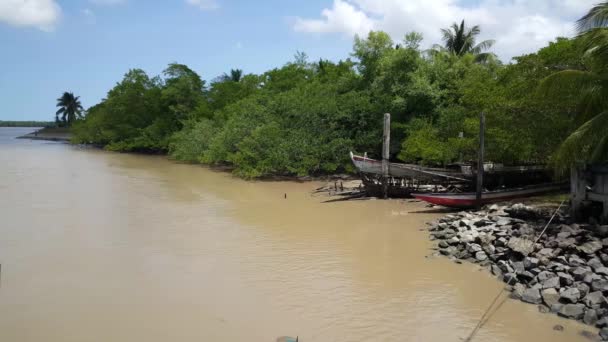 Longtail Boten Aan Suriname Rivier Nieuw Amsterdam Suriname — Stockvideo