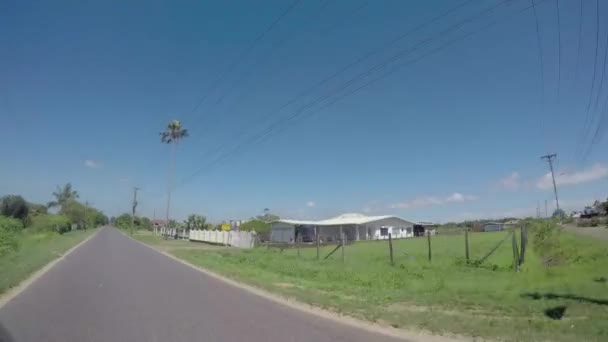 Conduire Travers Suriname Par Une Journée Ensoleillée — Video