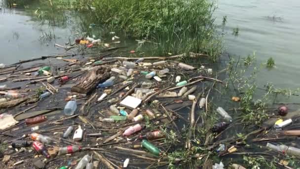 Botellas Plástico Otros Desechos Río Danubio Belgrado Serbia — Vídeos de Stock