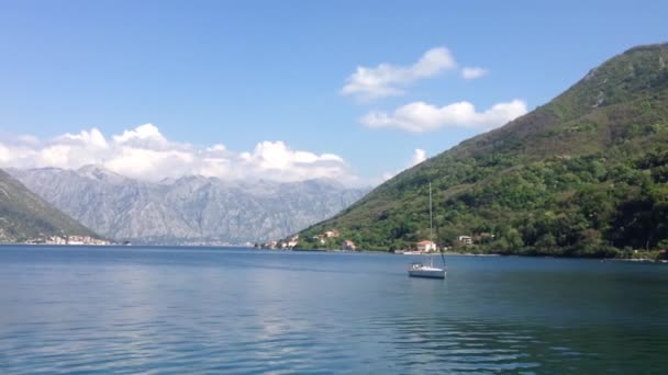 Kotor Montenegro Körfezinde Yelkenli — Stok video