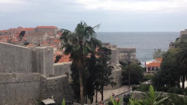 Casco Antiguo Dubrovnik Croacia — Vídeos de Stock