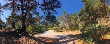 Beerze, Overijssel ve Hollanda çevresindeki kum tepelerinden panorama
