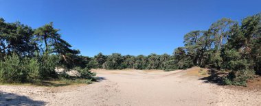 Beerze, Overijssel ve Hollanda çevresindeki kum tepelerinden panorama