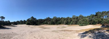 Beerze, Overijssel ve Hollanda çevresindeki kum tepelerinden panorama