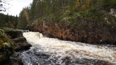 Finlandiya 'daki Oulanka Ulusal Parkı' nda su akışı