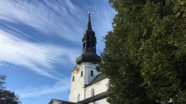 Olaf Kirche Tallinn Estland — Stockvideo