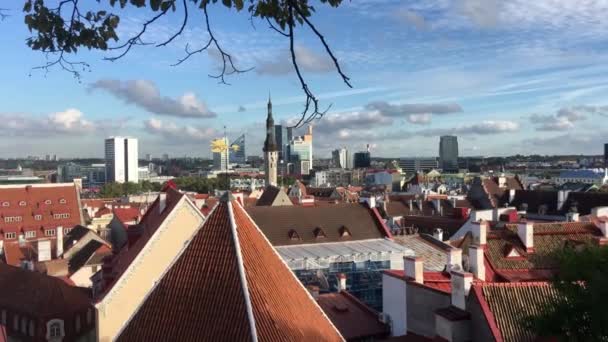 Overview Old City Tallinn Estonia — стокове відео
