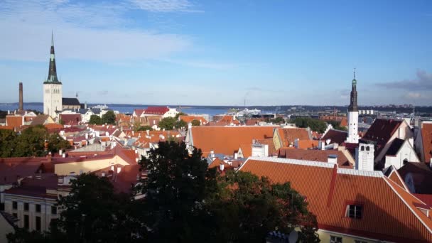 Tallinn Estonya Dan Genel Bakış — Stok video