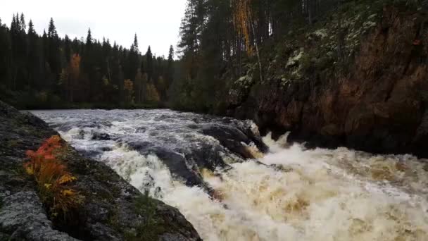 Vattendrag Uleåborgs Nationalpark Finland — Stockvideo