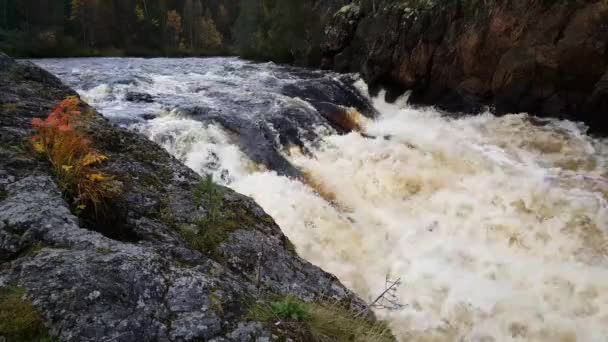 Arroyo Agua Parque Nacional Oulanka Finlandia — Vídeos de Stock