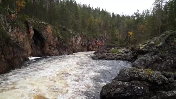 Arroyo Agua Parque Nacional Oulanka Finlandia — Vídeos de Stock