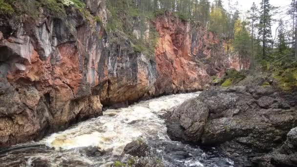 Arroyo Agua Parque Nacional Oulanka Finlandia — Vídeos de Stock