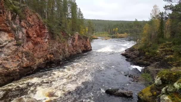 Panorama Del Río Bosque Del Parque Nacional Oulanka Finlandia — Vídeos de Stock