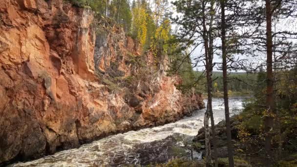 Vattendrag Uleåborgs Nationalpark — Stockvideo