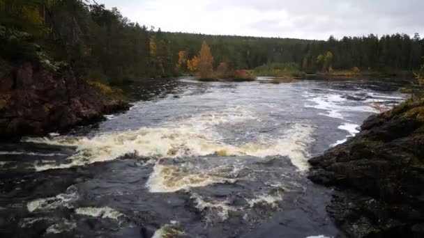 Arroyo Del Río Bosque Del Parque Nacional Oulanka Finlandia — Vídeos de Stock