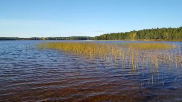Lac Dans Parc National Patvinsuo Finlande — Video