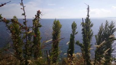 Yunanistan 'da Pyrgadikia çevresindeki sahil
