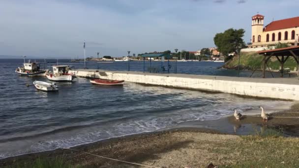 Puerto Neos Marmaras Con Pequeños Barcos Pesca Grecia — Vídeo de stock