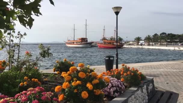 Marigold Rostliny Bulváru Tradičními Výletních Lodí Pozadí Neos Marmaras Řecko — Stock video