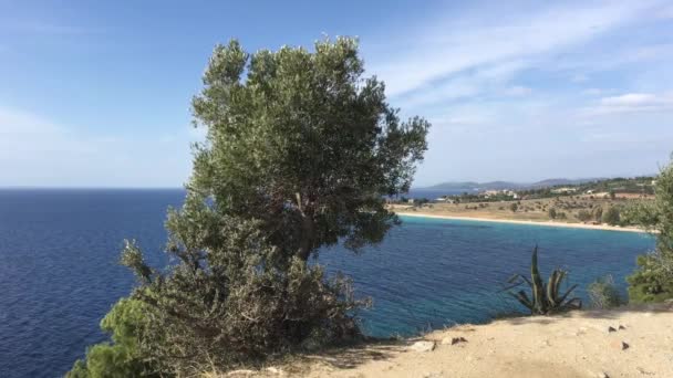 Пляж Агиос Иоаннис Ситонии Греция — стоковое видео