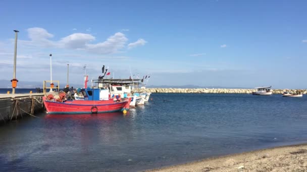 Barche Pesca Nel Porto Nea Fokea Grecia — Video Stock