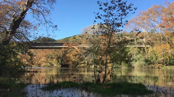 Der Fluss Peneios Und Große Bäume Herbstlichen Farben Thessalien Griechenland — Stockvideo