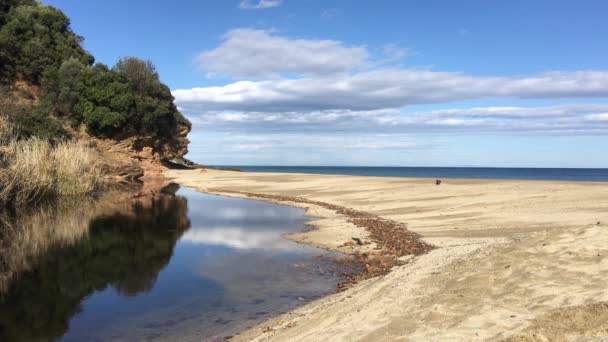 Pond Rakopotamos Beach Greece — Stock Video