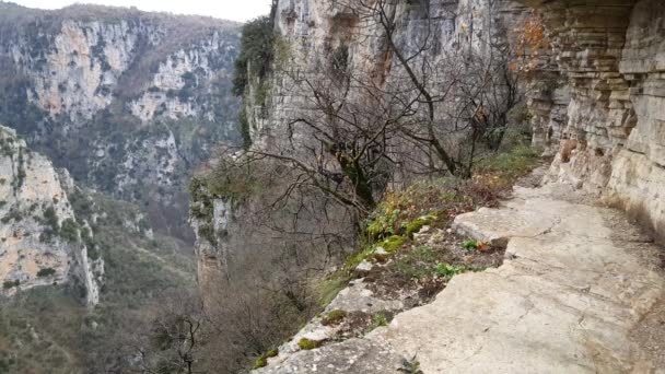 Monastero San Paraskevi Monastero Abbandonato Zagori Grecia — Video Stock