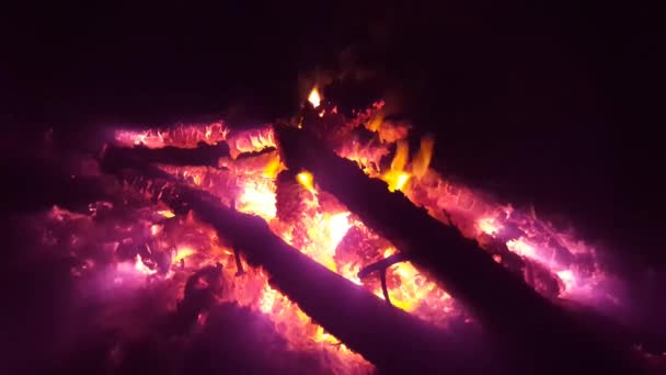 Närbild Från Lägereld Vid Stranden Lefkada Grekland — Stockvideo