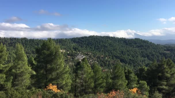 Foresta Paesaggio Montano Tra Prokopi Psachna Grecia — Video Stock