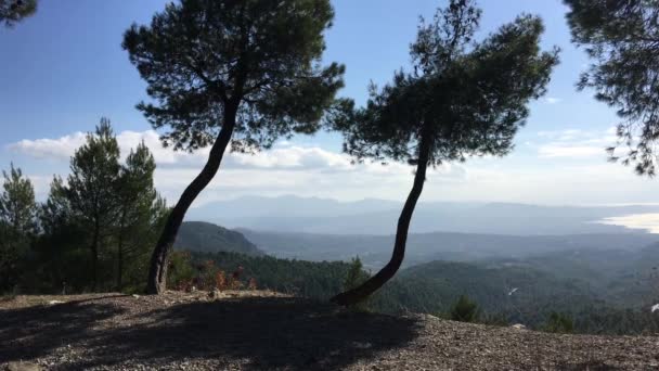 Bosque Montañas Paisaje Entre Prokopi Psachna Grecia — Vídeos de Stock