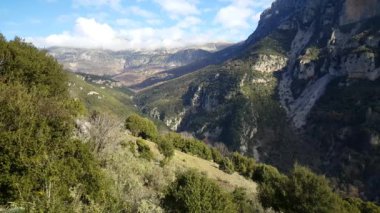 Yunanistan 'ın kuzeyindeki Vikos Geçidi' ndeki yeşil vadi.