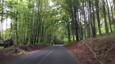 Macaristan 'daki Ulusal Park' tan geçerken