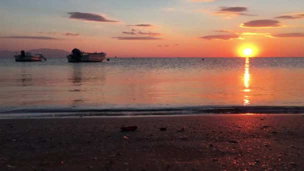 希腊亚历山大城海滩的落日 — 图库视频影像
