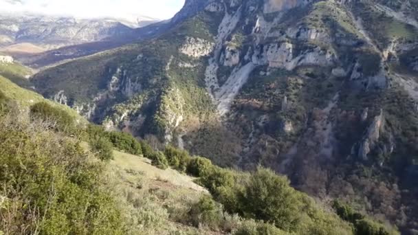 ギリシャ北部のヴィコス渓谷の緑の谷からパン — ストック動画