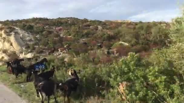 Praia Torno Salonikiou Grécia — Vídeo de Stock