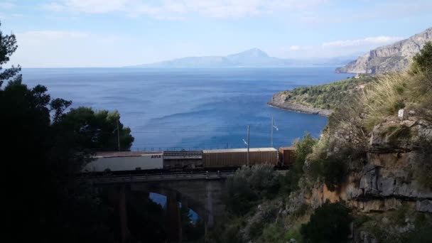 Vrachttrein Een Brug Bij Zee Acquafredda Italië — Stockvideo