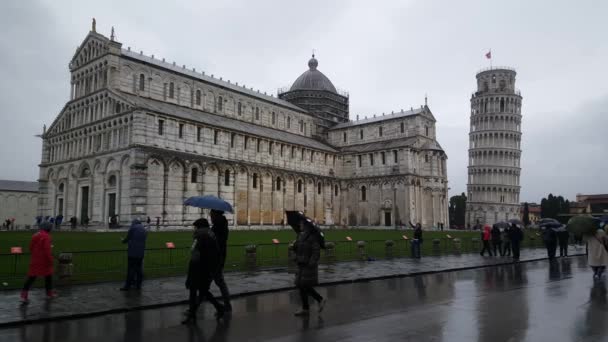 雨の日にピサの斜塔とピサ大聖堂周辺の観光 — ストック動画