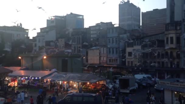 Gaivotas Mar Mercado Peixe Istambul Turquia — Vídeo de Stock