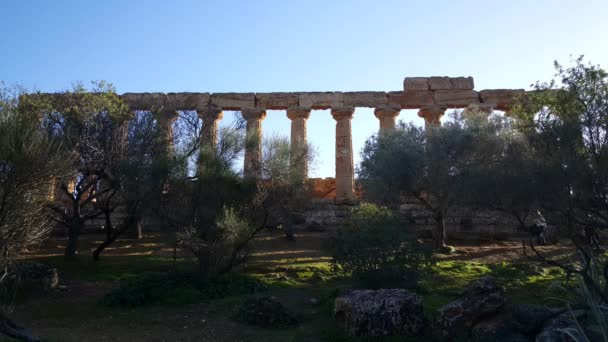 ジュノー寺院を歩く観光客紀元前5世紀のギリシャの寺院Agrigento Italy — ストック動画