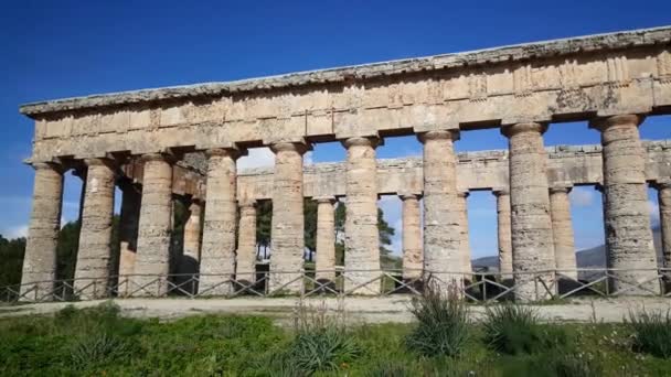 イタリアのセゲスタのドーリア寺院のパン — ストック動画